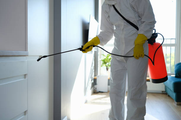 Best Crawl Space Mold Removal  in Stilwell, OK