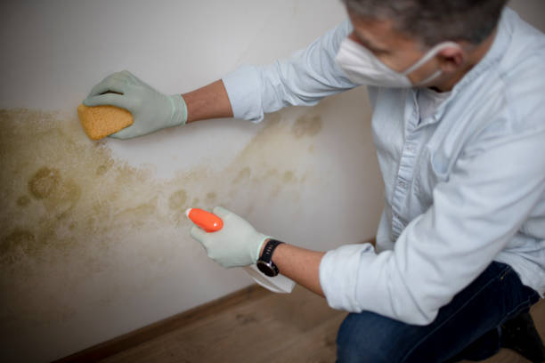 Crawl Space Mold Removal in Stilwell, OK