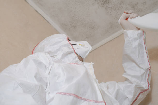 Best Mold Testing  in Stilwell, OK