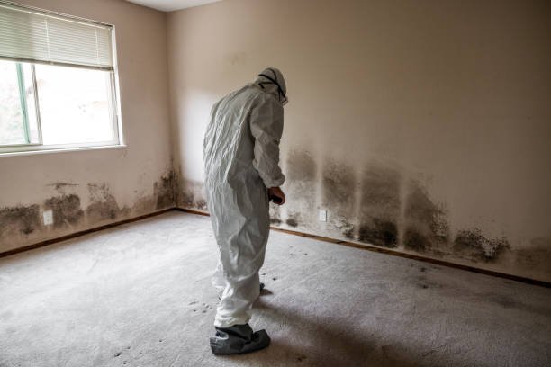 Best Mold Testing  in Stilwell, OK